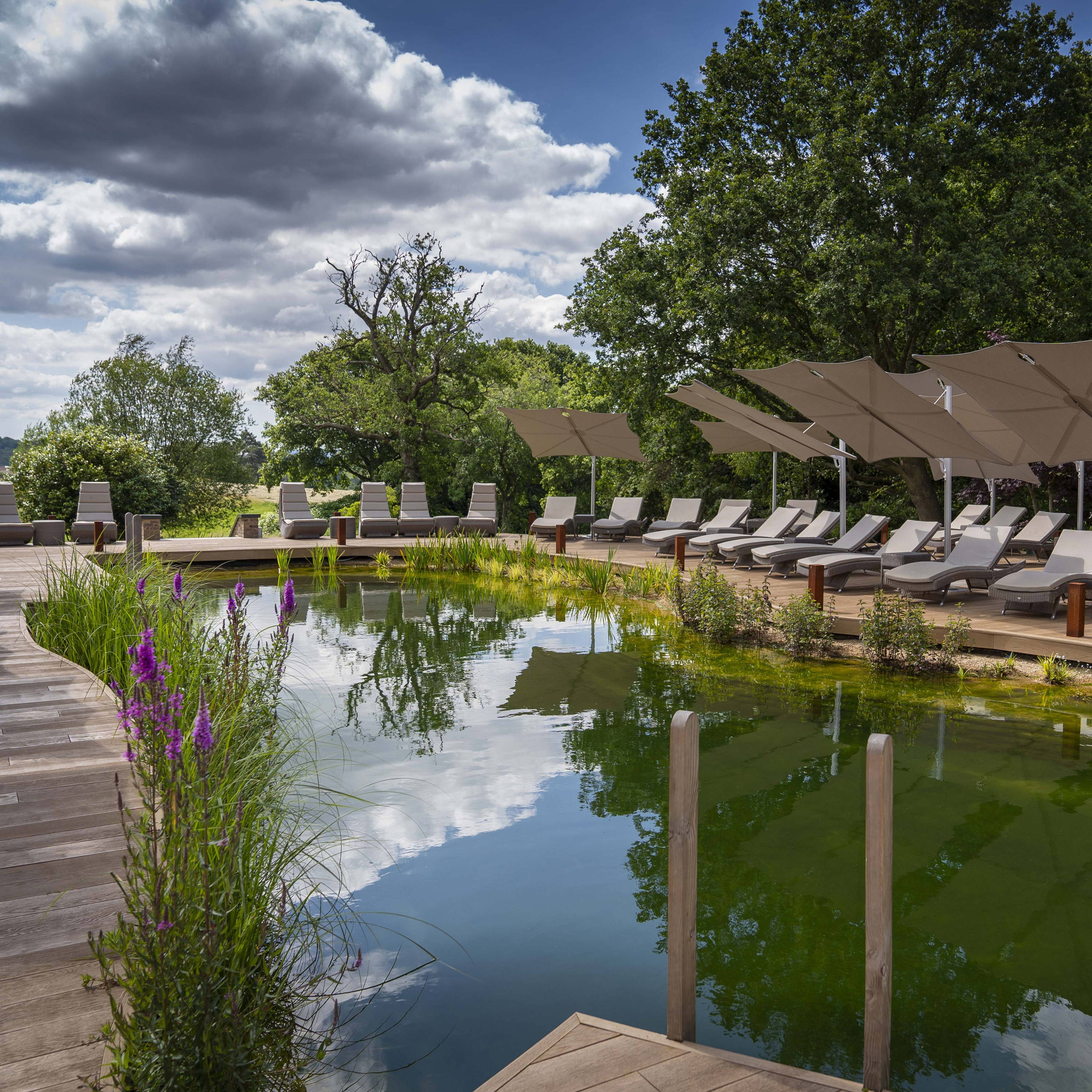 South lodge discount